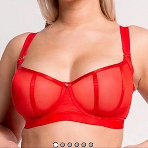 Scantilly by Curvy Kate Sheer Red Bra
